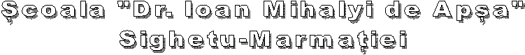 �coala cu clasele I-VIII "Dr. Ioan Mihalyi de Ap�a"