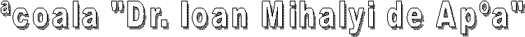 �coala cu clasele I-VIII "Dr. Ioan Mihalyi de Ap�a"