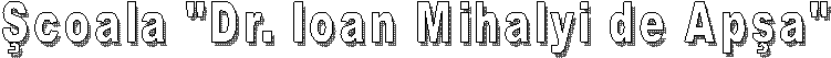 �coala cu clasele I-VIII "Dr. Ioan Mihalyi de Ap�a"