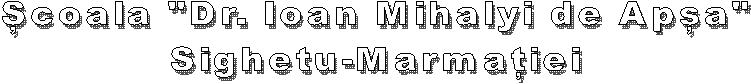 �coala cu clasele I-VIII "Dr. Ioan Mihalyi de Ap�a"